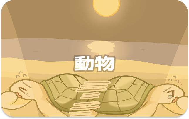 動物