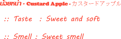 น้อยหน่า - Custard Apple - カスタードアップル :: Taste : Sweet and soft :: Smell : Sweet smell 